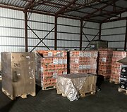 Įkalčiai po kratų Augalininkystės tarnybos byloje