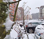 Vilniečiai turėjo darbo valydami nuo sniego automobilius
