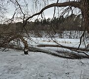 Pavasaris bando i&scaron;stumti žiemą