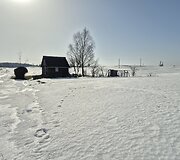 Pavasaris bando i&scaron;stumti žiemą