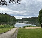 Dumblių niokojamas Žiežulio ežeras Varėnoje
