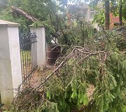 &Scaron;alčininkų seniūnijoje audra i&scaron;vartė ir i&scaron;laužė daug medžių