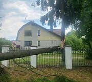 &Scaron;alčininkų seniūnijoje audra i&scaron;vartė ir i&scaron;laužė daug medžių