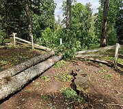 Audros nuniokotas Taujėnų dvaro parkas