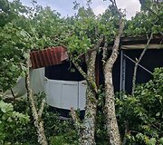 Audros nuniokotas Taujėnų dvaro parkas