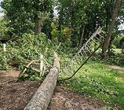 Audros nuniokotas Taujėnų dvaro parkas