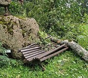 Audros nuniokotas Taujėnų dvaro parkas