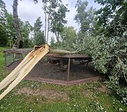 Audros nuniokotas Taujėnų dvaro parkas