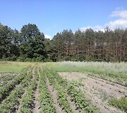 Moliadugnio kaimas, kuriame belikę 5 gyventojai