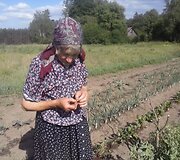Moliadugnio kaimas, kuriame belikę 5 gyventojai
