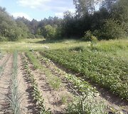 Moliadugnio kaimas, kuriame belikę 5 gyventojai