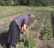Moliadugnio kaimas, kuriame belikę 5 gyventojai