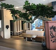 news_5a8d3f634a12d91e3ebb.jpg