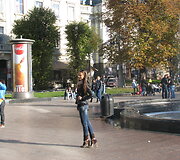 Panelė