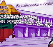 Seimo rinkimų agitacijos perliukai