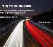 Seimo rinkimų agitacijos perliukai