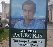 Seimo rinkimų agitacijos perliukai