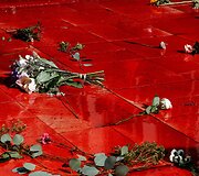 Paryžiuje per protestą liejosi netikras kraujas