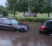 Liūtis &Scaron;iauliuose