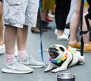 &bdquo;London Pride 2019&ldquo;