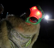 Žmonės renkasi prie &bdquo;Area 51&ldquo;
