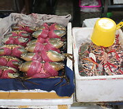 Maistas Vietname