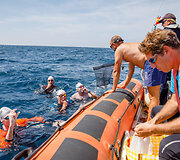 Plaukimas per Gibraltaro sąsiaurį