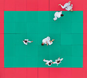 Saulius Žiūra. &Scaron;achas ir matas. &bdquo;Pavingiuojam&ldquo; - aktyvaus laisvalaikio festivalis Vingio parke. Aikido treniruotė.