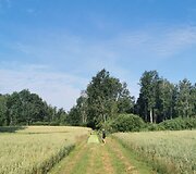 Sunkiausia buvo rasti vietą nakvynei. Diena, kai įskurta tiesiog ant kelio