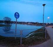 Patvinęs Nevėžis