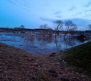 Patvinęs Nevėžis