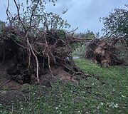 &Scaron;e&scaron;tadienio audra nuniokojo Alantos miestelį Molėtų rajone