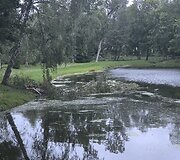 &Scaron;e&scaron;tadienio audra nuniokojo Alantos miestelį Molėtų rajone