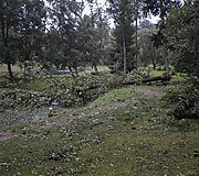 &Scaron;e&scaron;tadienio audra nuniokojo Alantos miestelį Molėtų rajone