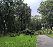Po audros &ndash; nusiaubtas Ramybės parkas Kaune