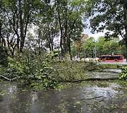 Po audros &ndash; nusiaubtas Ramybės parkas Kaune