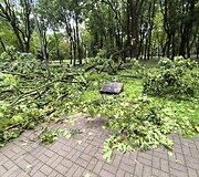 Po audros &ndash; nusiaubtas Ramybės parkas Kaune