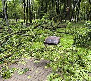 Po audros &ndash; nusiaubtas Ramybės parkas Kaune