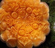 Vitos Brūzgienės drožinėtas moliūgas