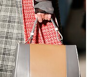 &bdquo;Prada&ldquo; rankinė