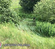 Vilniaus rajone automobilis trenkėsi į arklio traukiamą vežimą