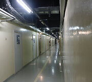 Ignalinos atominė elektrinė