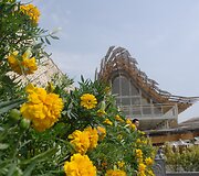 &bdquo;EXPO 2015&ldquo; Paroda Milane