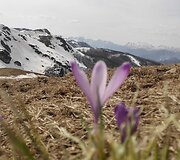 &Scaron;iemet slidinėjimo sezonas Juodkalnijoje baigėsi anksti