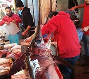 VOYAGE i&scaron;&scaron;ūkio dalyvių jau laukiama Sicilijoje