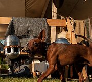 Gyvosios istorijos festivalis &bdquo;Jotvos vartai&ldquo;