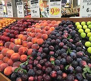 Vaisiai Australijoje
