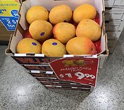 Vaisiai Australijoje