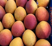 Vaisiai Australijoje