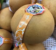 Vaisiai Australijoje